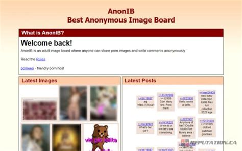 nd anon nude|Revenge porn site Anon